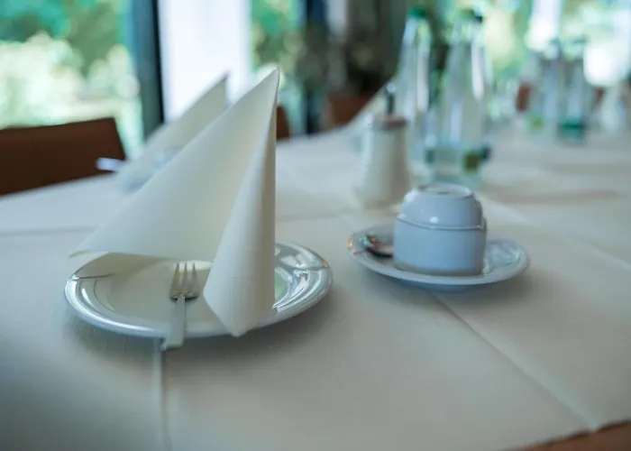Отель Reichels Parkhotel Бад-Виндсхайм