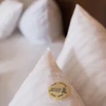 Reichels Parkhotel 3*