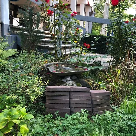Reichels Parkhotel 3*