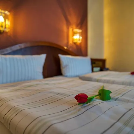 Reichels Parkhotel 3*