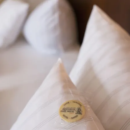 Reichels Parkhotel 3*