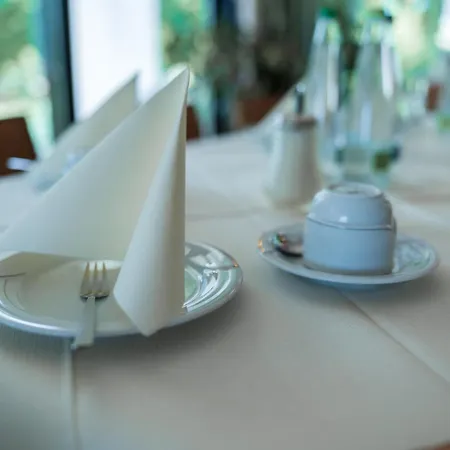 Hotell Reichels Parkhotel Bad Windsheim
