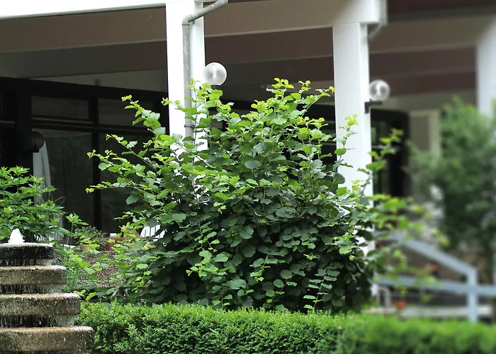 Reichels Parkhotel Bad Windsheim
