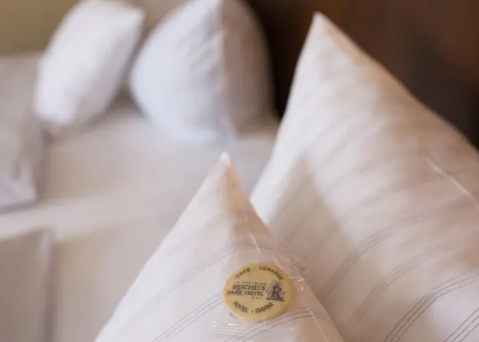 Reichels Parkhotel 3*